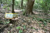 府民の森　なるかわ園地