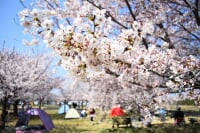 稲城北緑地公園