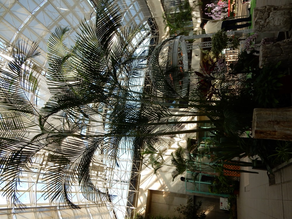 久屋大通庭園フラリエの写真5