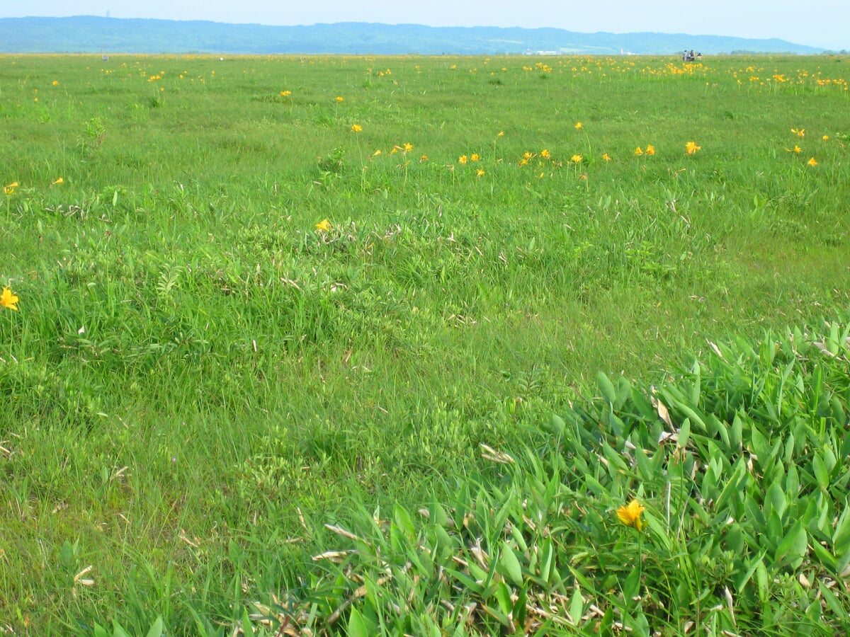 メグマ沼自然公園の写真2