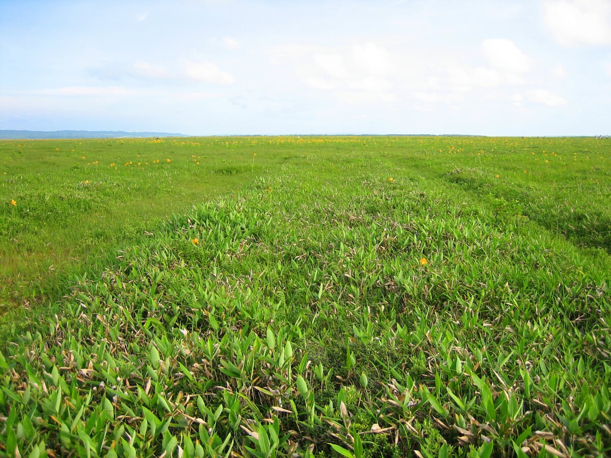 メグマ沼自然公園の写真3