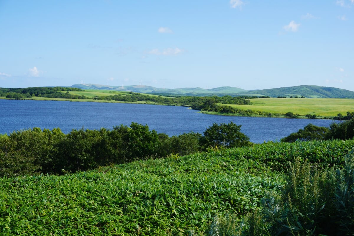 メグマ沼自然公園の写真1