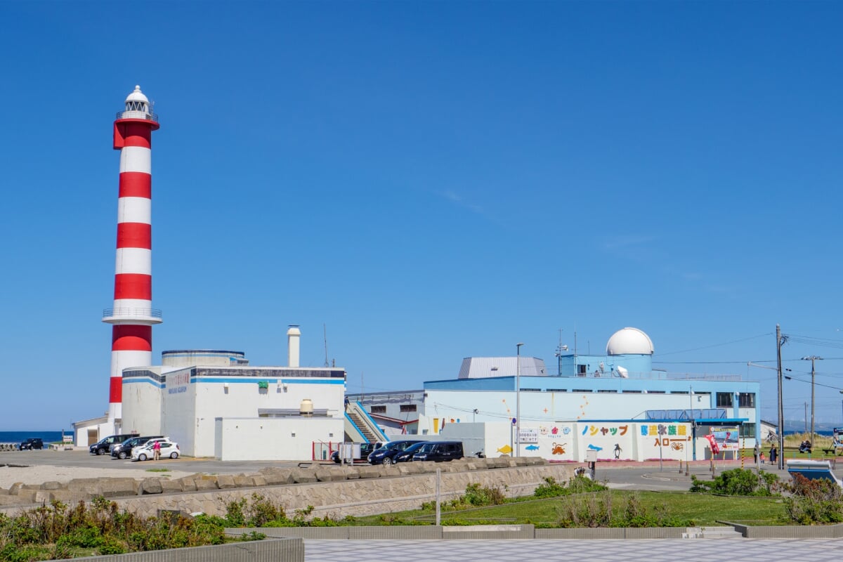 稚内市青少年科学館の写真1