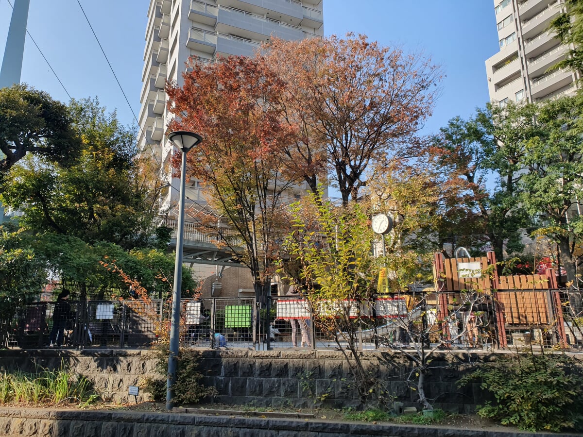 代官山公園の写真1