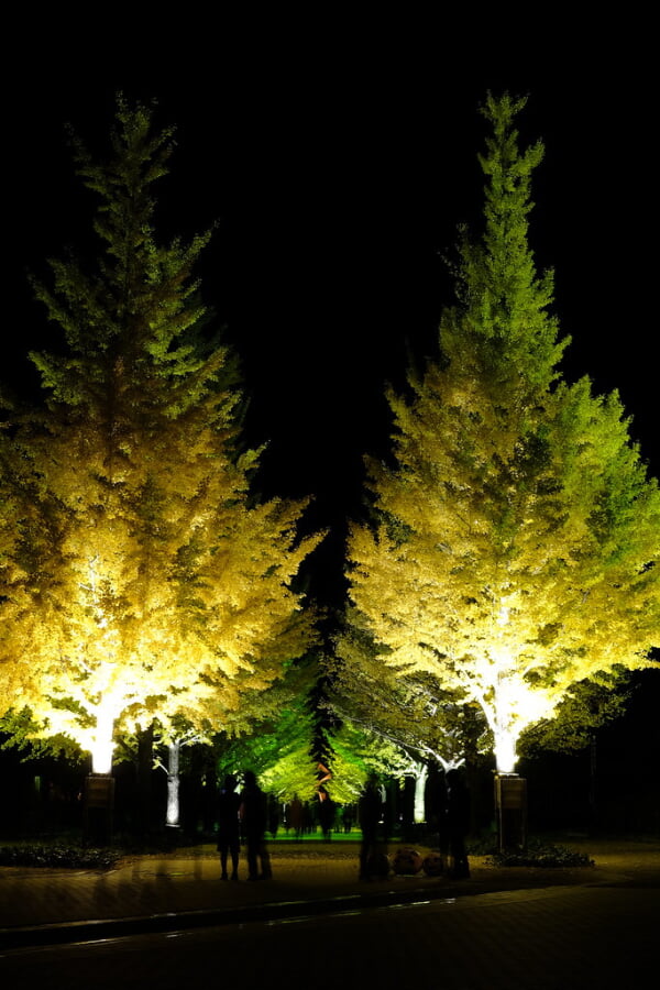 あづま総合運動公園の写真5