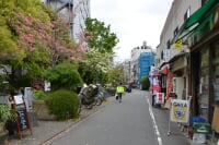 玉川上水旧水路緑道