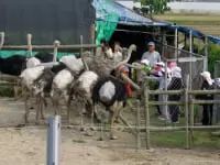南丹市八木農村環境公園 氷室の郷