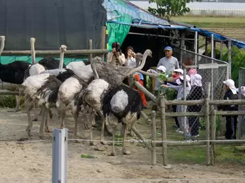 南丹市八木農村環境公園 氷室の郷の写真1