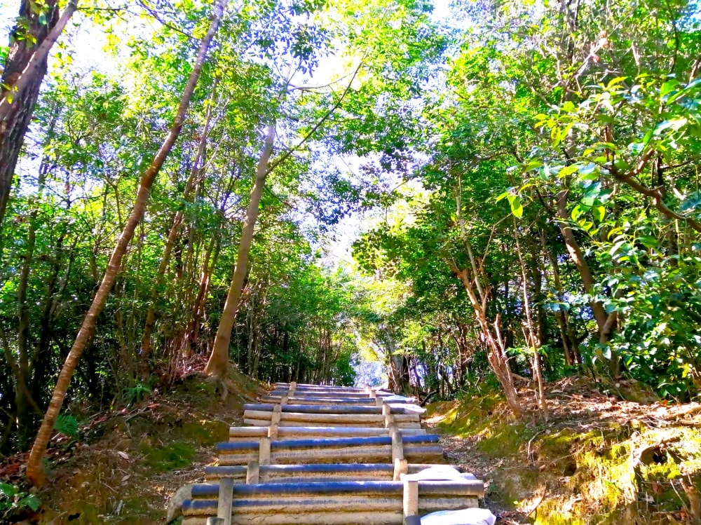 南部丘陵公園の写真2