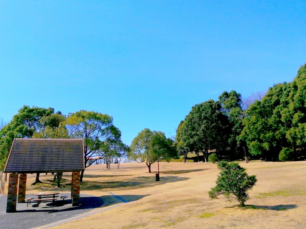 南部丘陵公園の写真3