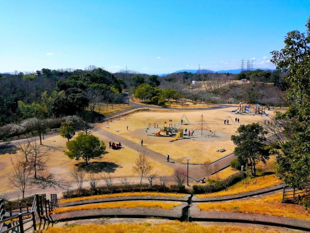 南部丘陵公園の写真4