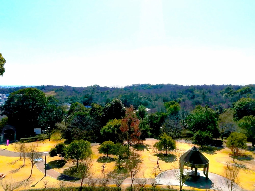南部丘陵公園の写真5