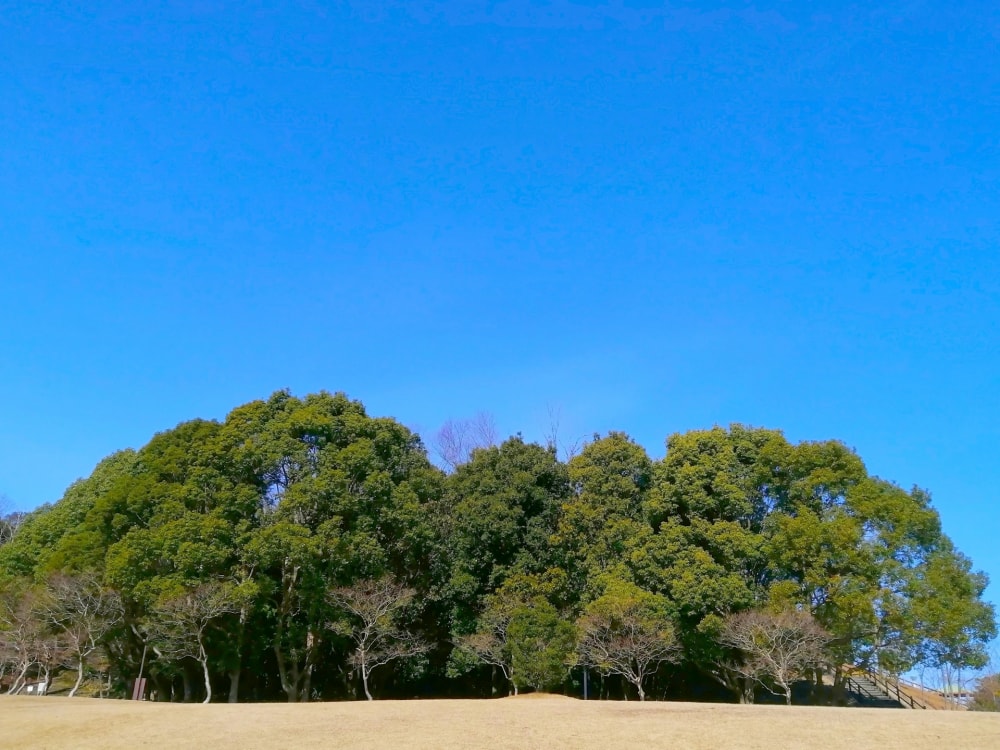南部丘陵公園の写真6