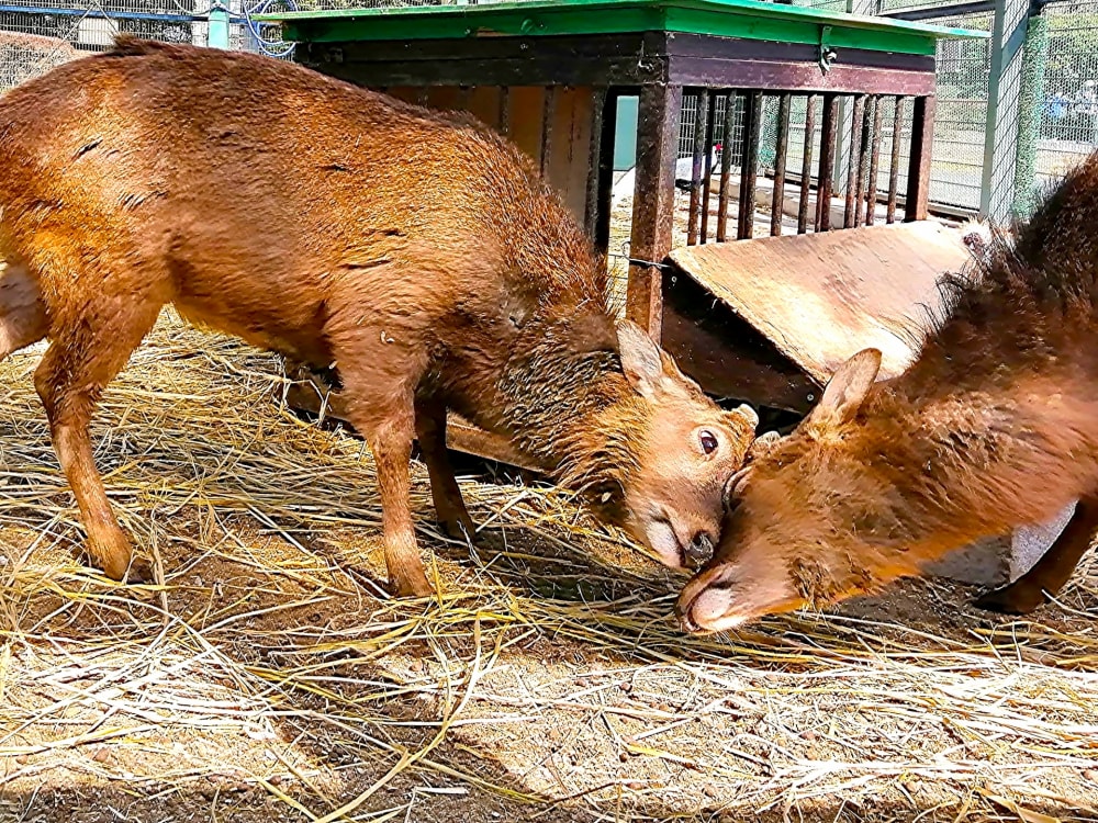 南部丘陵公園の写真7