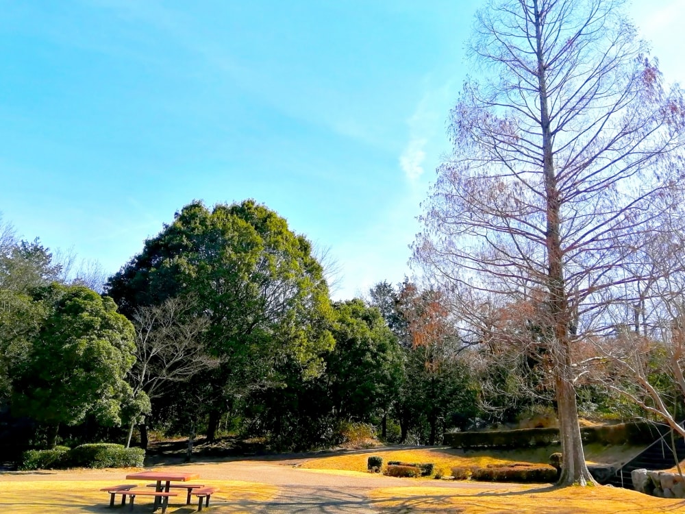 南部丘陵公園の写真9