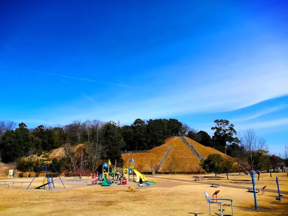 南部丘陵公園の写真1