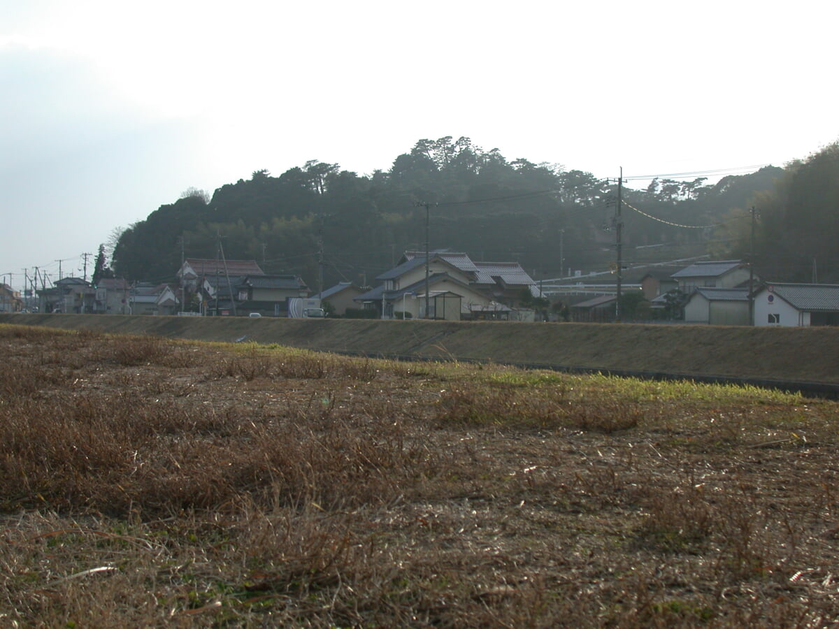 愛宕山公園の写真2