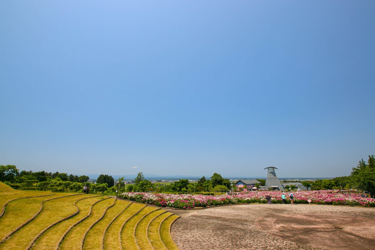愛宕山公園の写真3