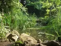 桜丘すみれば自然庭園