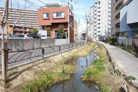 四つ木めだかの小道