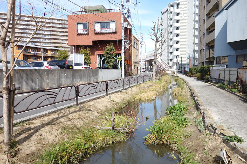 四つ木めだかの小道の写真1