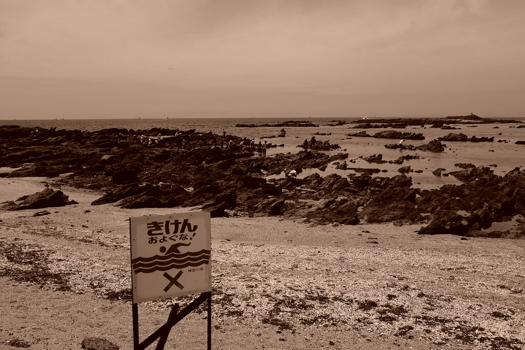 天神島臨海自然教育園・天神島ビジターセンターの写真2