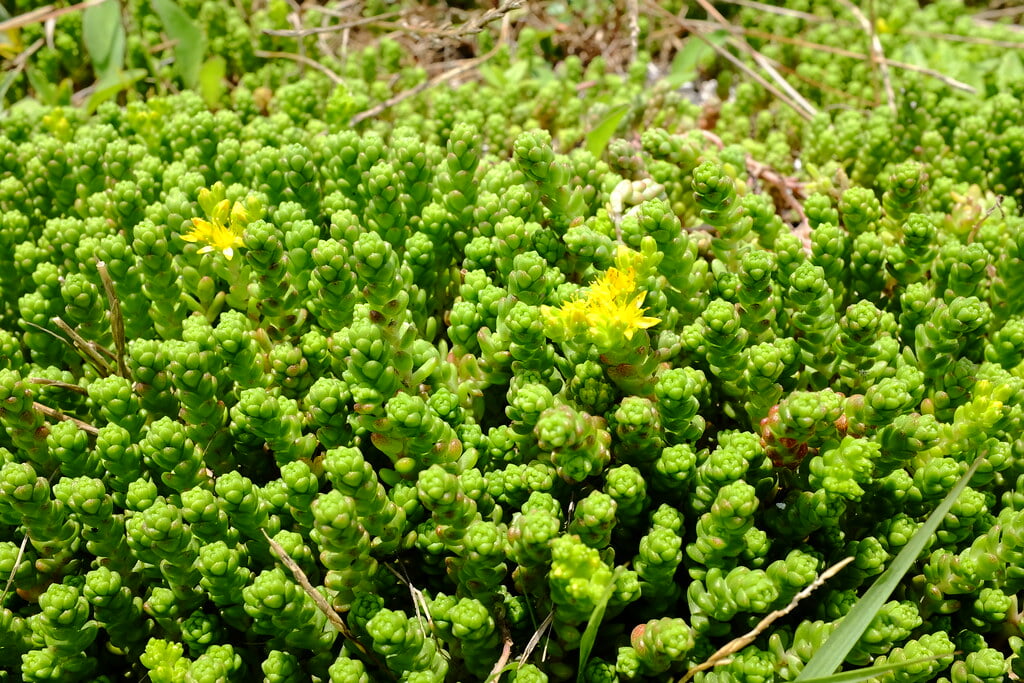 天神島臨海自然教育園・天神島ビジターセンターの写真1