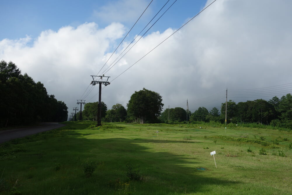 野沢温泉スキー場の写真2
