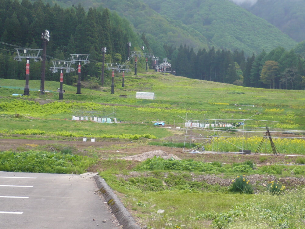 野沢温泉スキー場の写真3