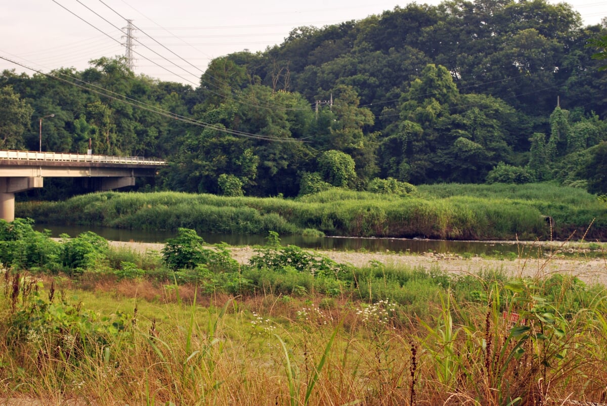 学校橋河原の写真2