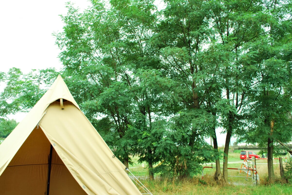 学校橋河原の写真4