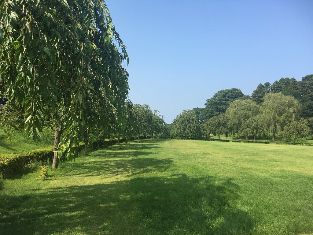 八戸市博物館の写真2