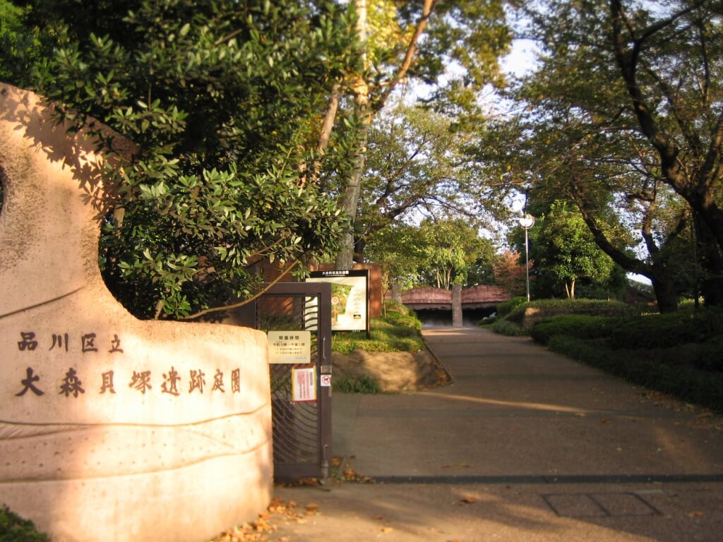 大森貝塚遺跡庭園の写真2