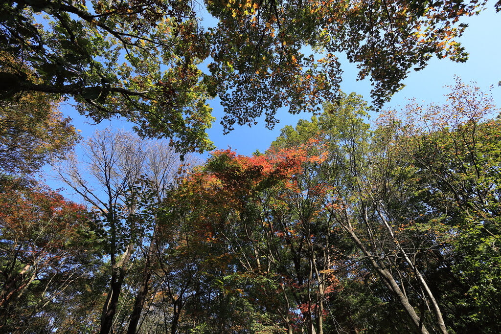 赤城自然園の写真2