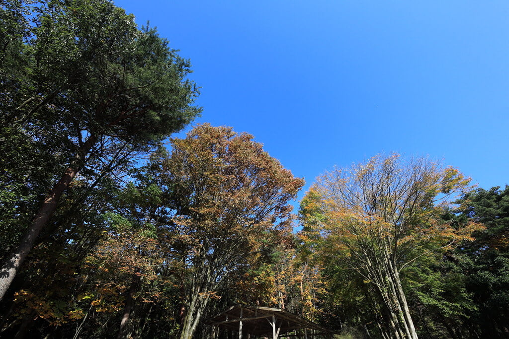 赤城自然園の写真3