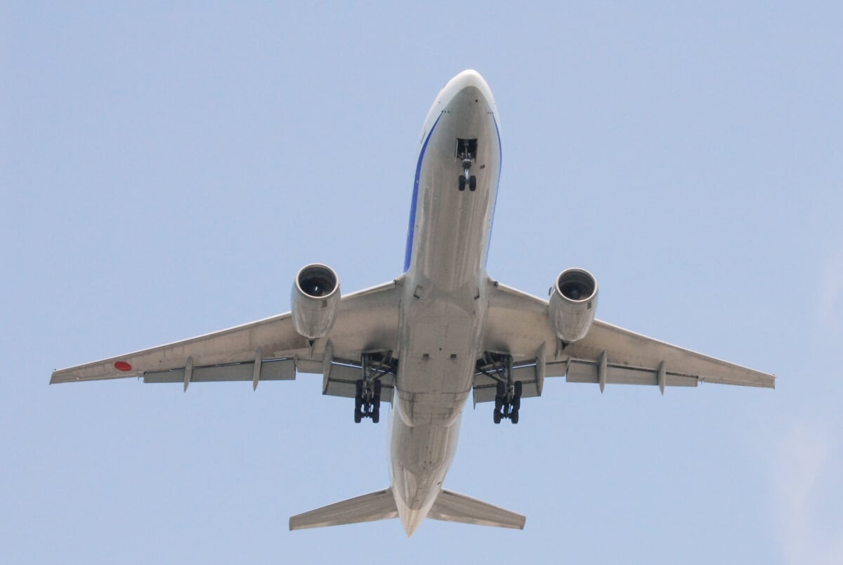 京浜島つばさ公園の写真3