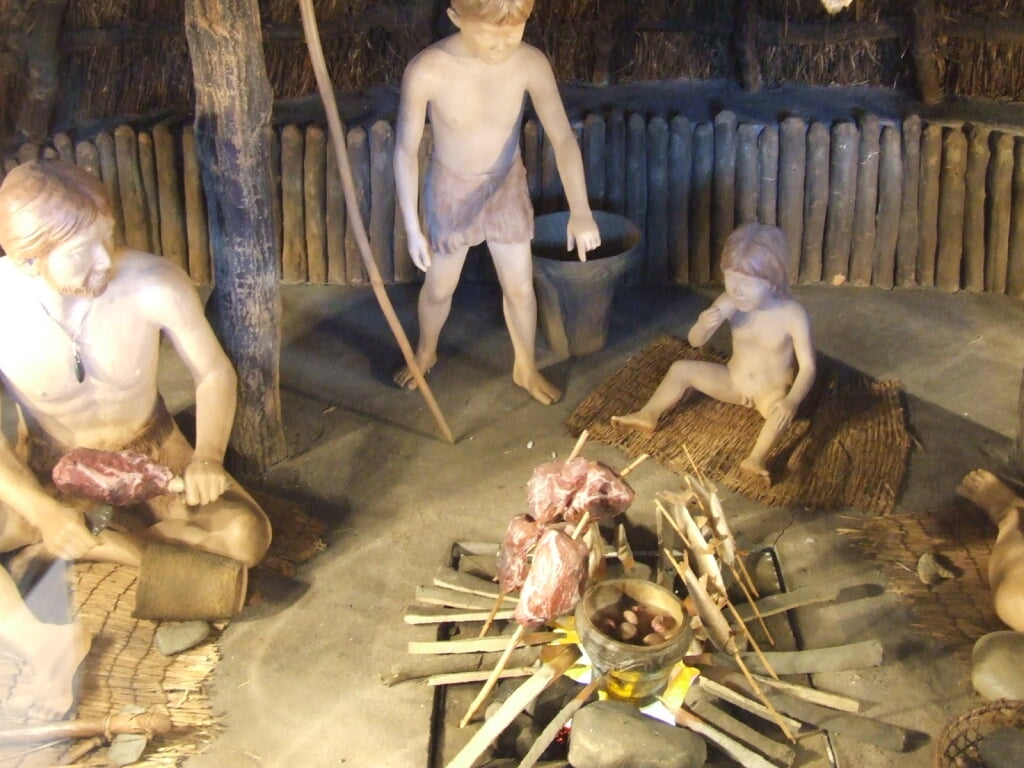 塚山公園の写真3