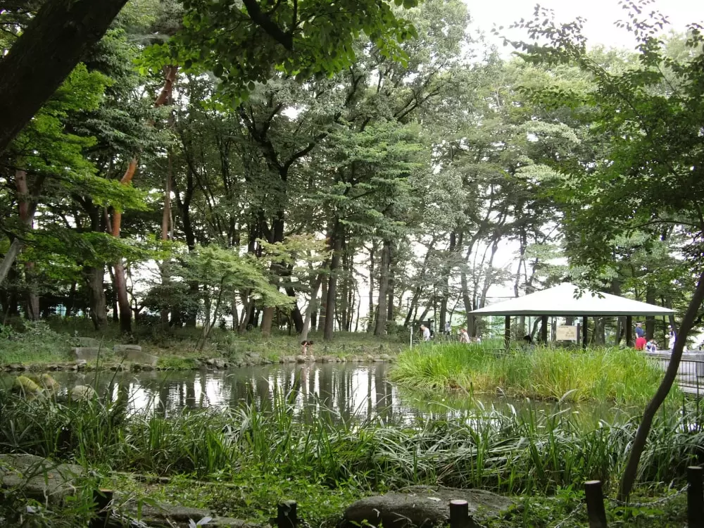 塚山公園の写真1