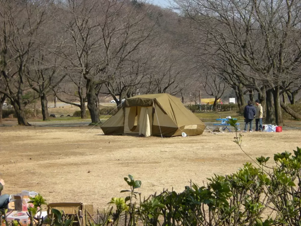 上大島キャンプ場の写真1