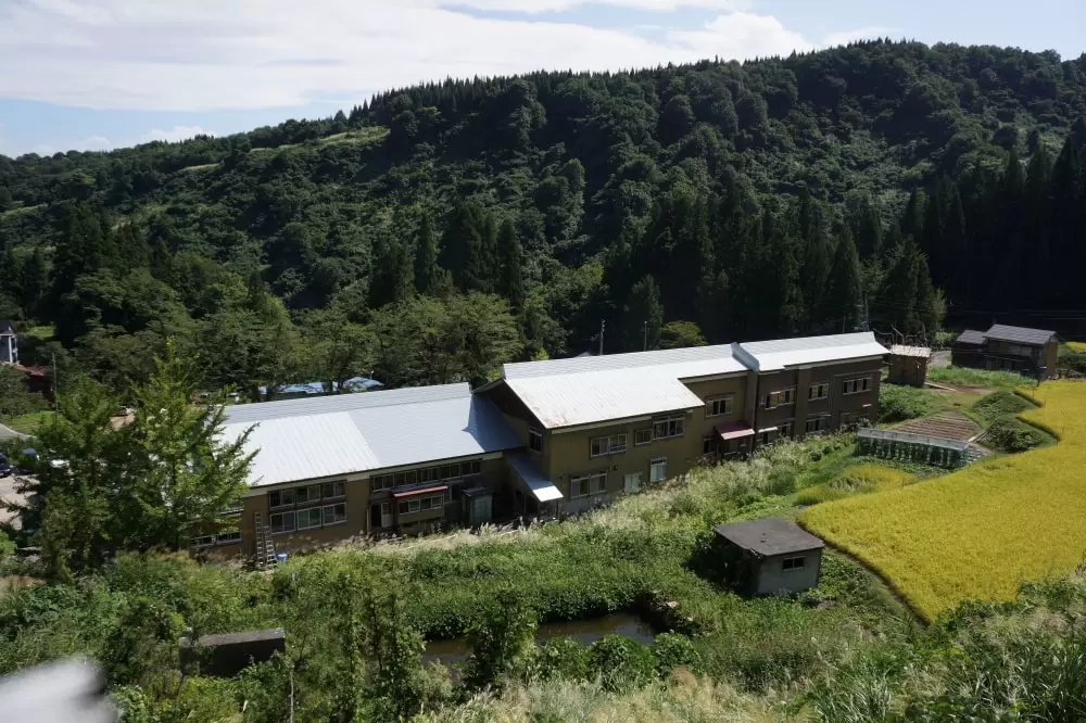 絵本と木の実の美術館の写真1