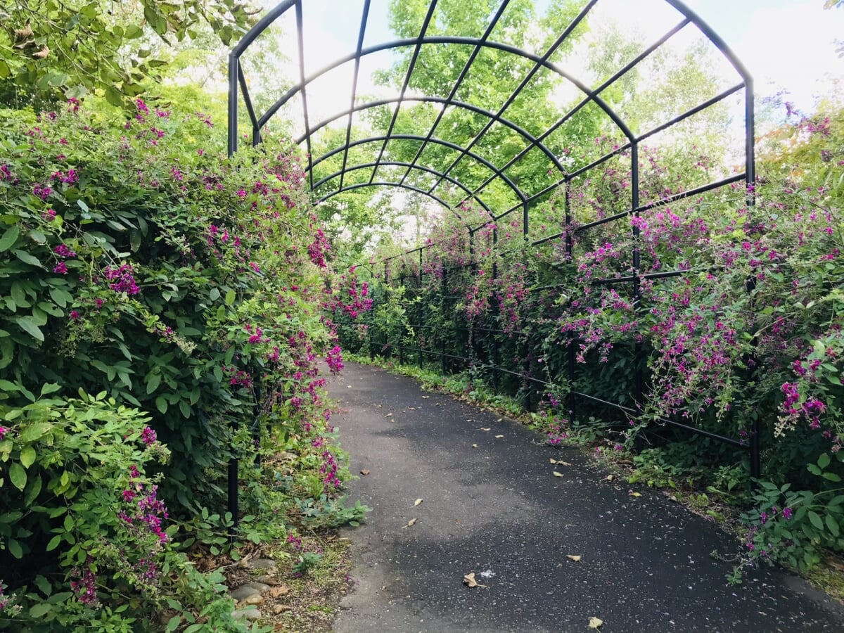 道南四季の杜公園の写真4