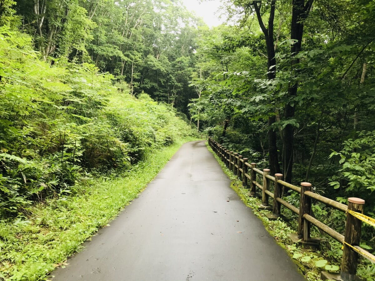 道南四季の杜公園の写真5