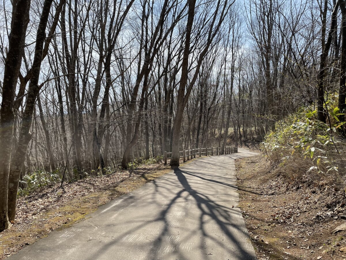 道南四季の杜公園の写真6