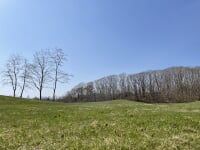 道南四季の杜公園