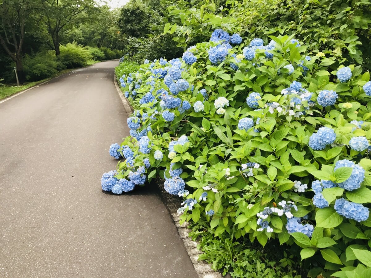 道南四季の杜公園の写真8