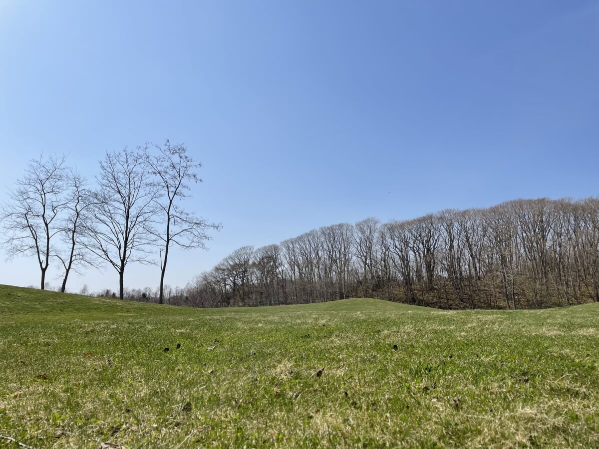 道南四季の杜公園の写真1