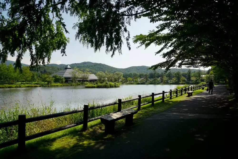 矢ケ崎公園の写真1