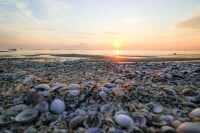 鍋松原海水浴場