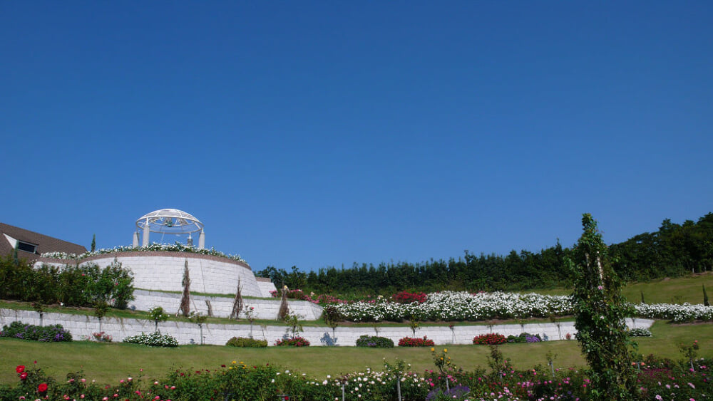 かのやばら園の写真2