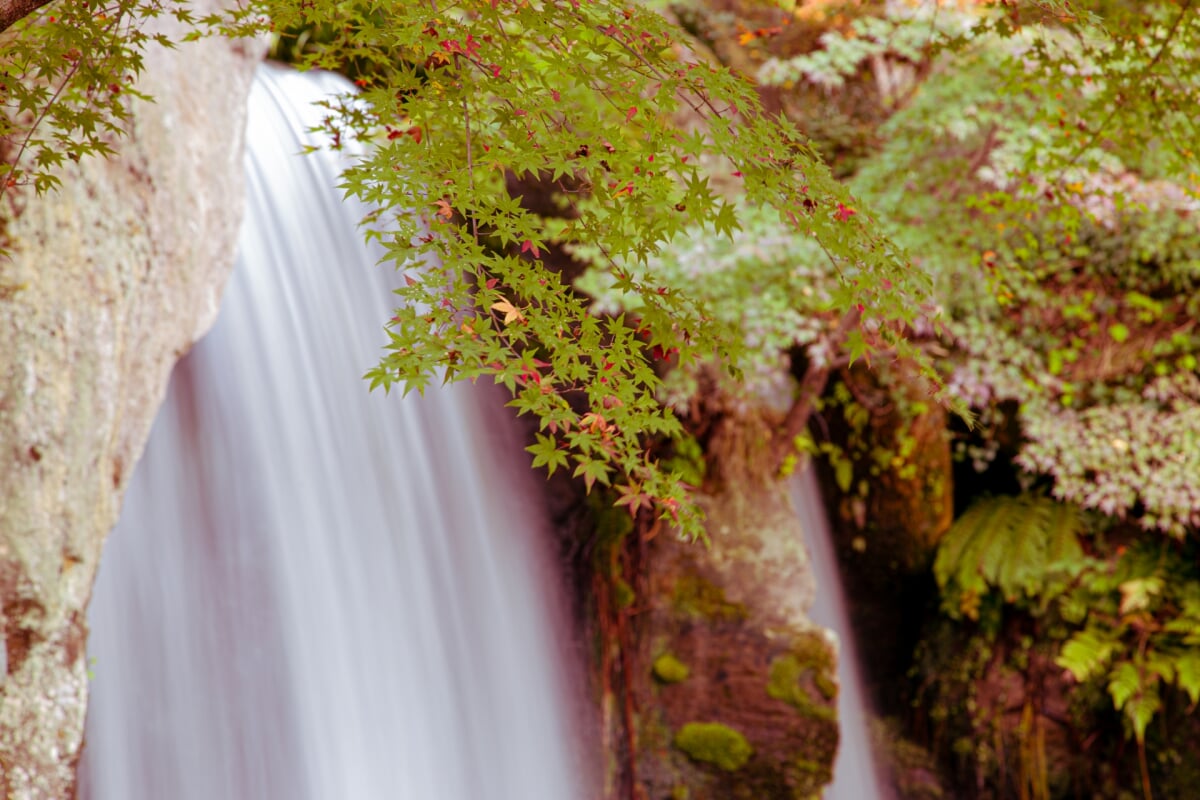 耶馬溪ダム記念公園の写真3